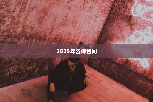 2025年咨询合同