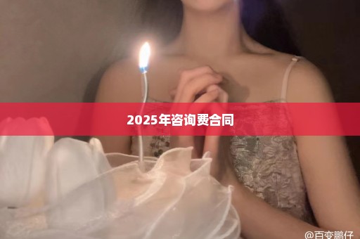 2025年咨询费合同