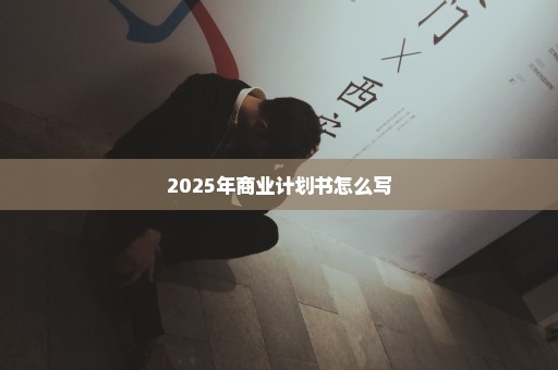 2025年商业计划书怎么写