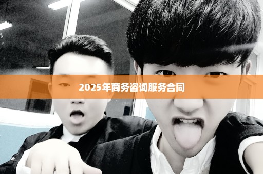 2025年商务咨询服务合同