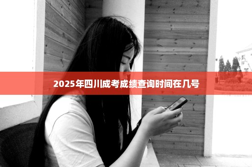 2025年四川成考成绩查询时间在几号