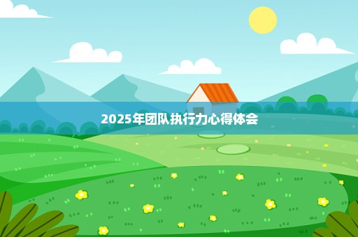2025年团队执行力心得体会