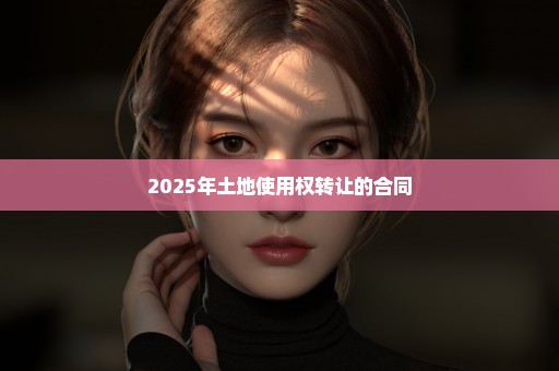 2025年土地使用权转让的合同