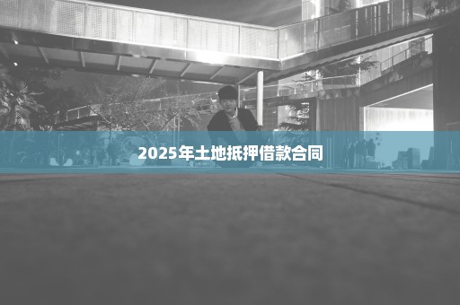 2025年土地抵押借款合同