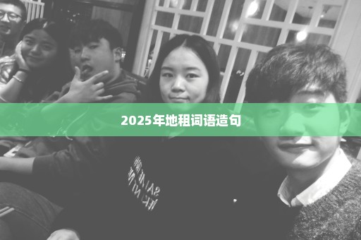 2025年地租词语造句