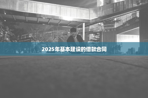 2025年基本建设的借款合同