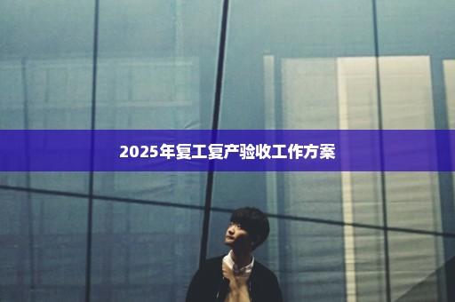 2025年复工复产验收工作方案
