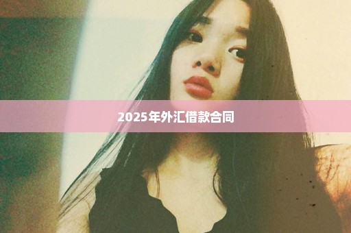 2025年外汇借款合同