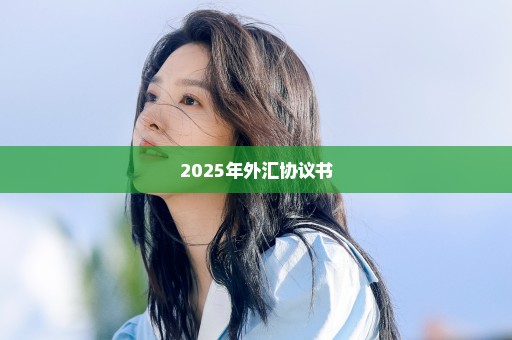 2025年外汇协议书