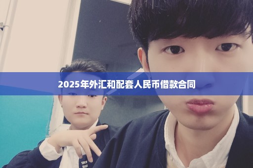 2025年外汇和配套人民币借款合同