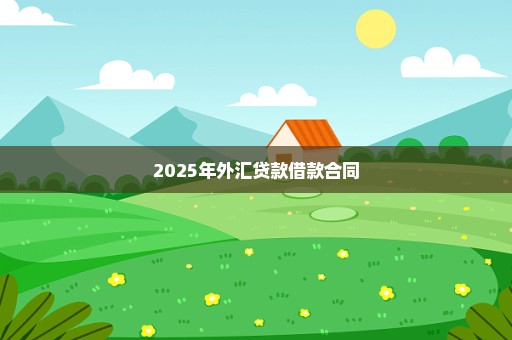2025年外汇贷款借款合同