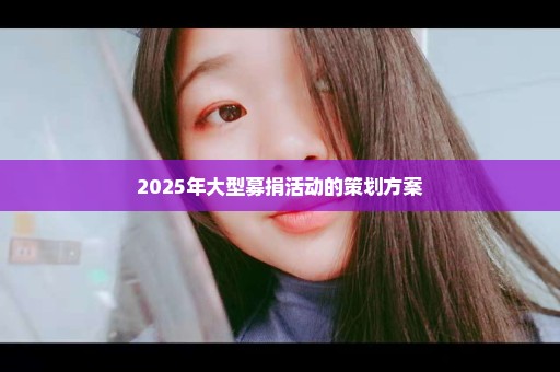 2025年大型募捐活动的策划方案