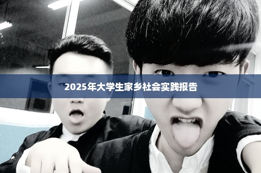 2025年大学生家乡社会实践报告