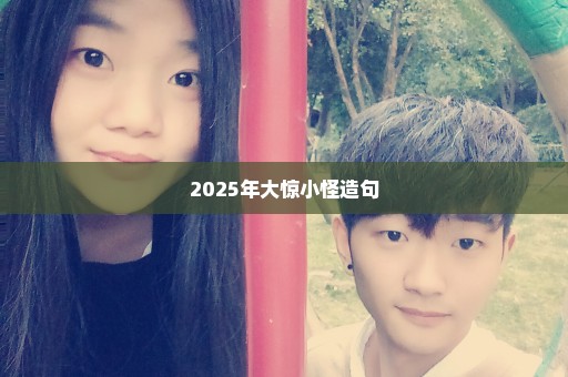 2025年大惊小怪造句