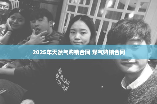 2025年天然气购销合同 煤气购销合同