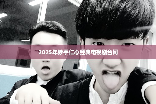 2025年妙手仁心经典电视剧台词