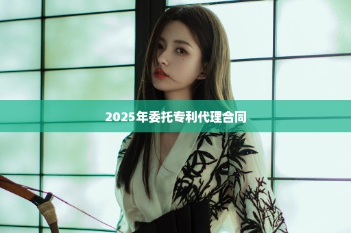 2025年委托专利代理合同