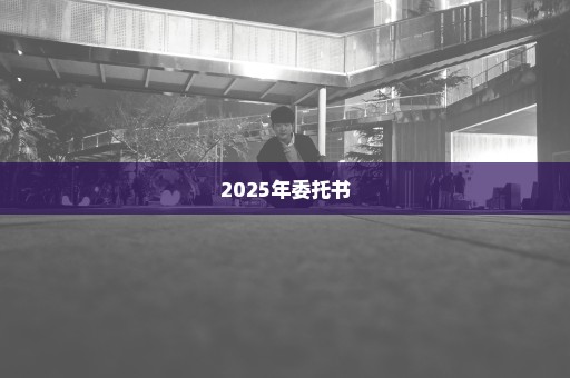 2025年委托书