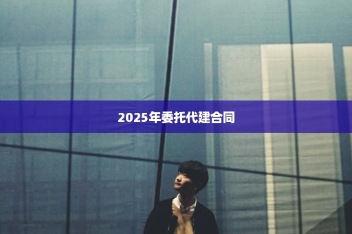 2025年委托代建合同