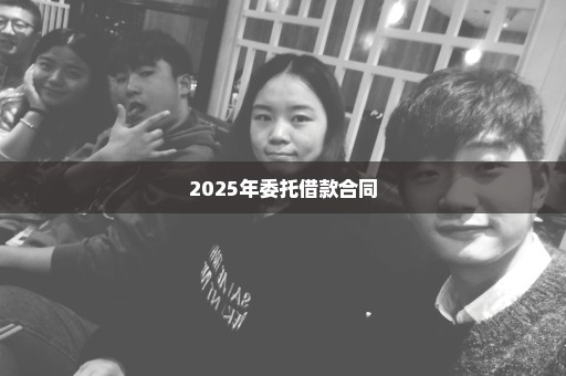 2025年委托借款合同