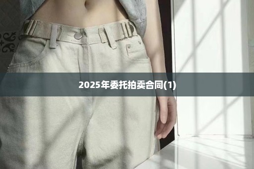 2025年委托拍卖合同(1)