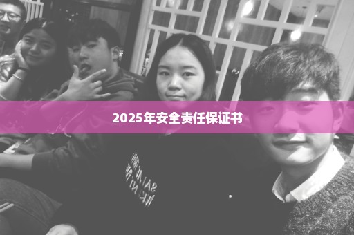 2025年安全责任保证书