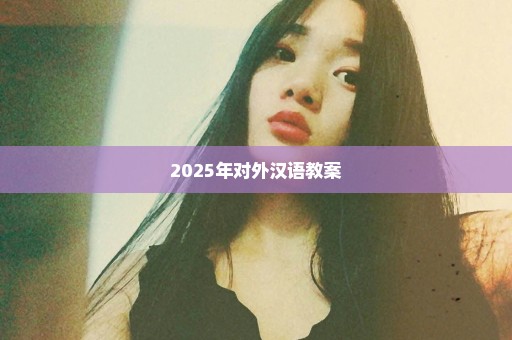 2025年对外汉语教案