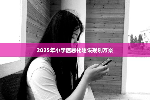 2025年小学信息化建设规划方案