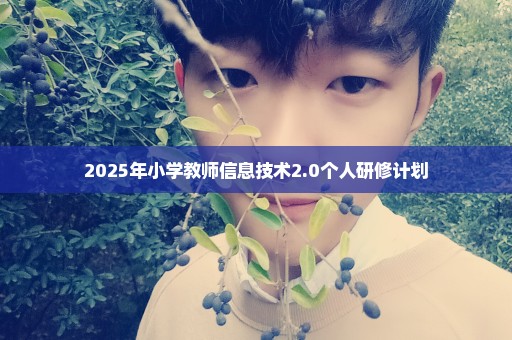 2025年小学教师信息技术2.0个人研修计划