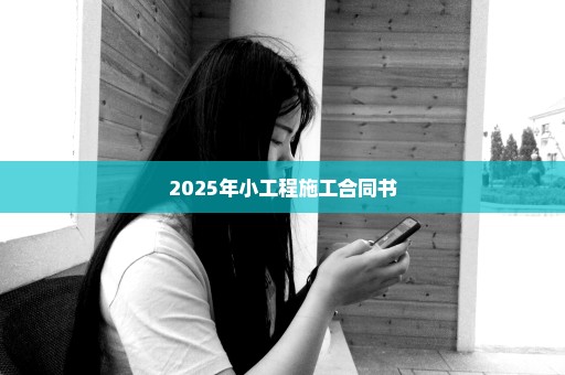2025年小工程施工合同书