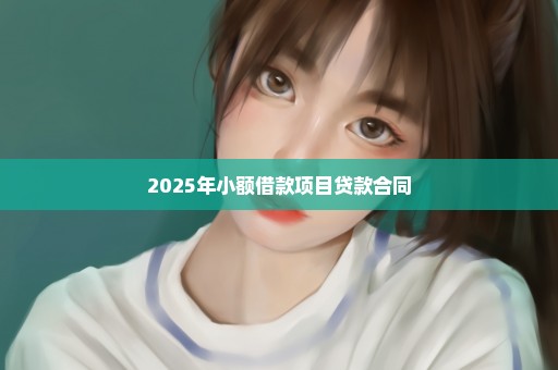 2025年小额借款项目贷款合同