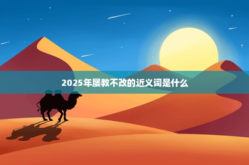 2025年屡教不改的近义词是什么