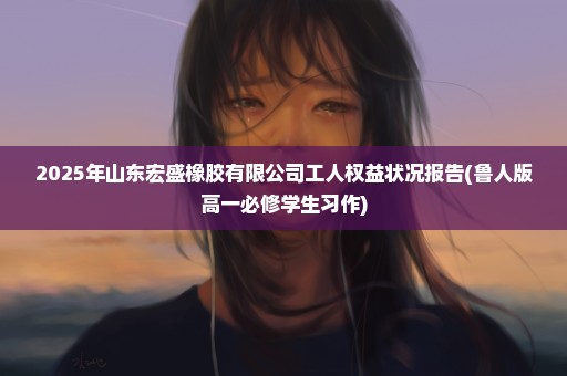 2025年山东宏盛橡胶有限公司工人权益状况报告(鲁人版高一必修学生习作)