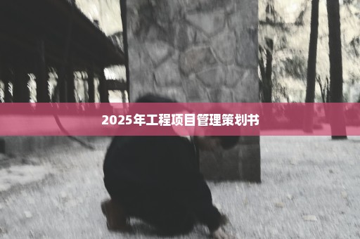 2025年工程项目管理策划书