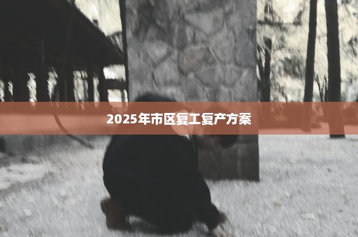 2025年市区复工复产方案