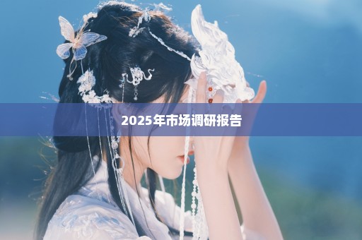 2025年市场调研报告