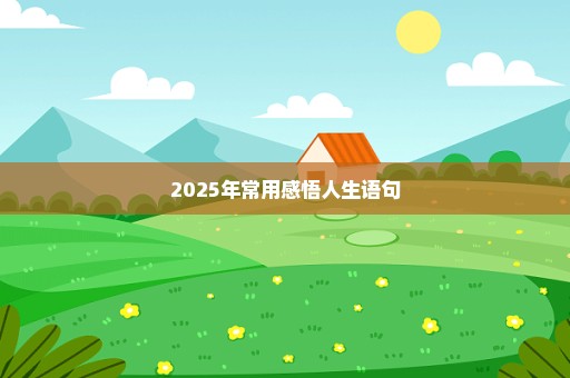 2025年常用感悟人生语句