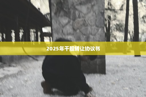 2025年干股转让协议书
