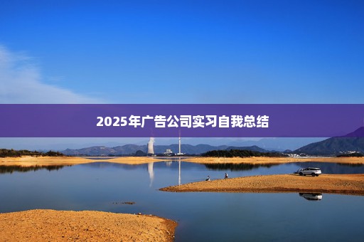 2025年广告公司实习自我总结