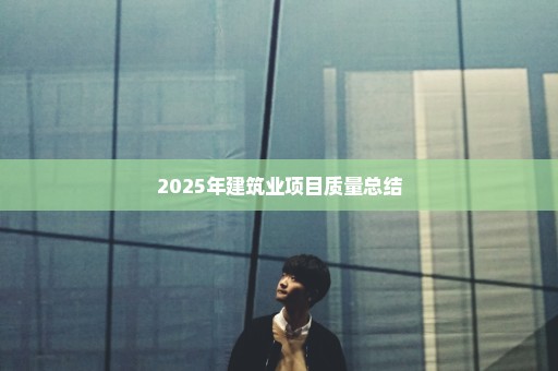 2025年建筑业项目质量总结