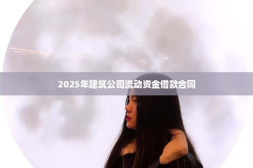 2025年建筑公司流动资金借款合同