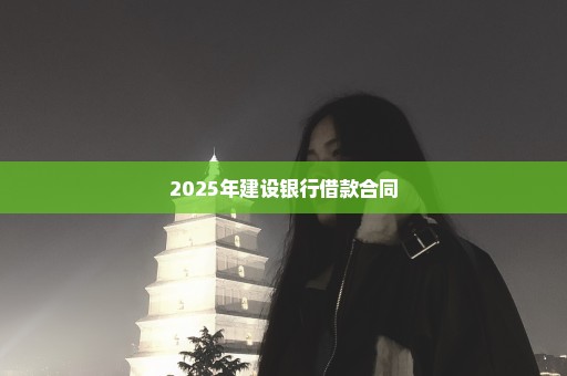 2025年建设银行借款合同
