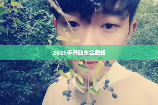 2025年开股东会通知