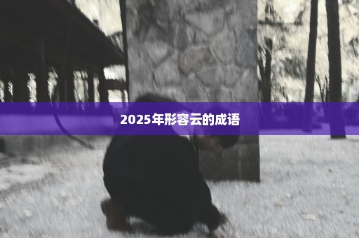 2025年形容云的成语