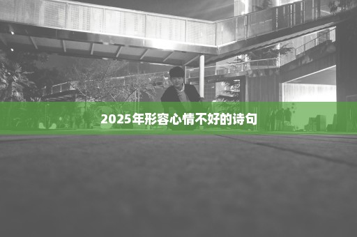 2025年形容心情不好的诗句