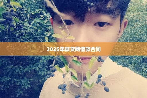 2025年微贷网借款合同