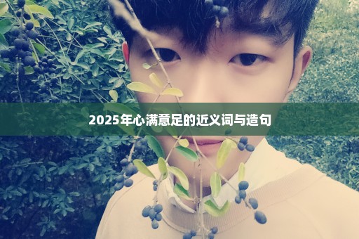 2025年心满意足的近义词与造句