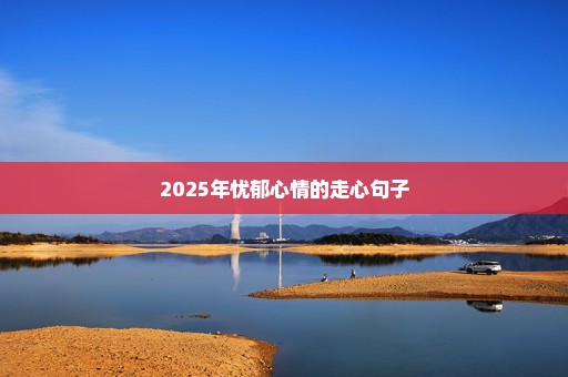 2025年忧郁心情的走心句子