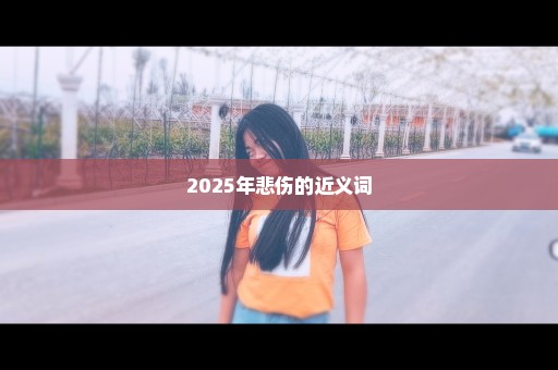 2025年悲伤的近义词