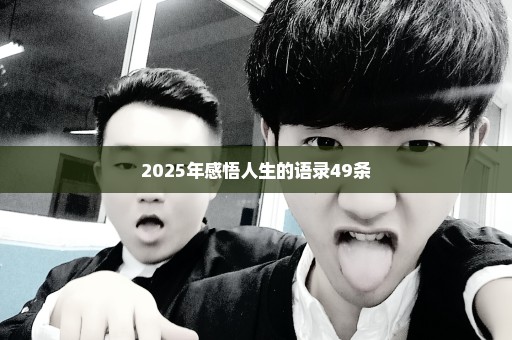 2025年感悟人生的语录49条
